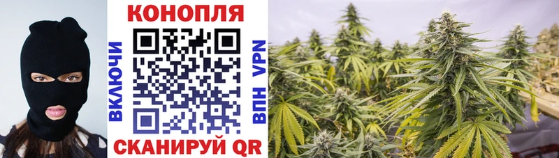 Конопля сатива  Купить закладки  Ивдель 